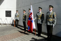 Zvi obrzok
