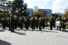 Zvi obrzok
