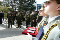Zvi obrzok