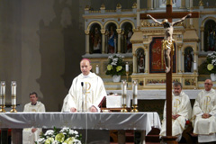 Zvi obrzok