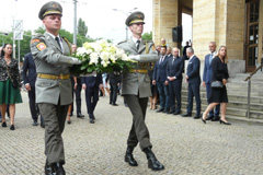 Zvi obrzok