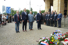 Zvi obrzok