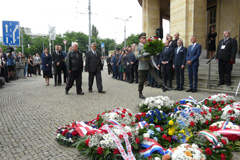 Zvi obrzok