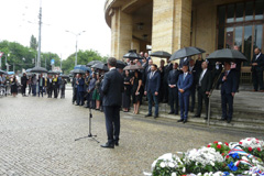 Zvi obrzok