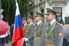 Zvi obrzok