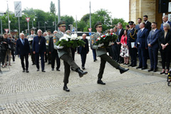 Zv��i obr�zok