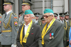 Zv��i obr�zok