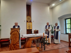 Zvi obrzok