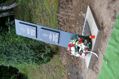 Zvi obrzok