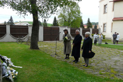 Zvi obrzok
