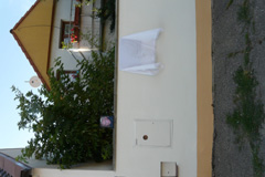 Zvi obrzok