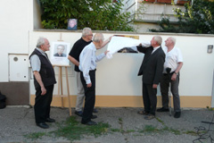 Zvi obrzok