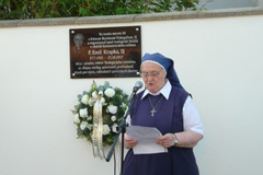 Zvi obrzok