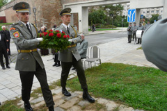 Zvi obrzok