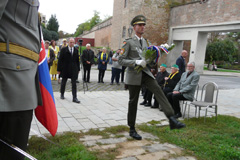 Zvi obrzok