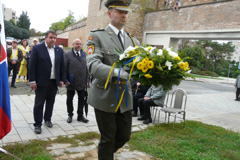Zvi obrzok