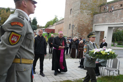 Zvi obrzok
