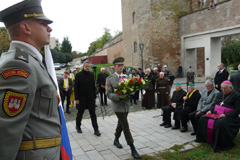 Zvi obrzok