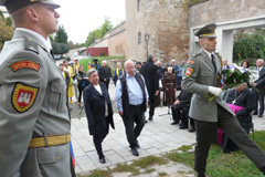 Zvi obrzok