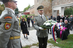 Zvi obrzok