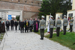 Zvi obrzok
