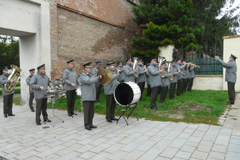 Zvi obrzok