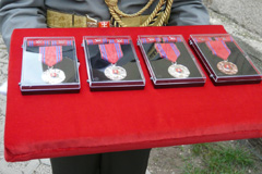 Zvi obrzok