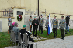 Zvi obrzok