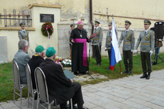 Zvi obrzok