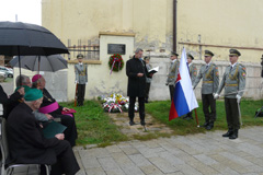Zvi obrzok