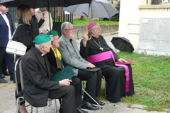 Zvi obrzok