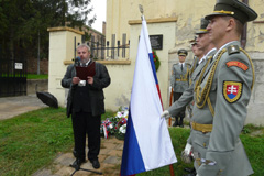 Zvi obrzok